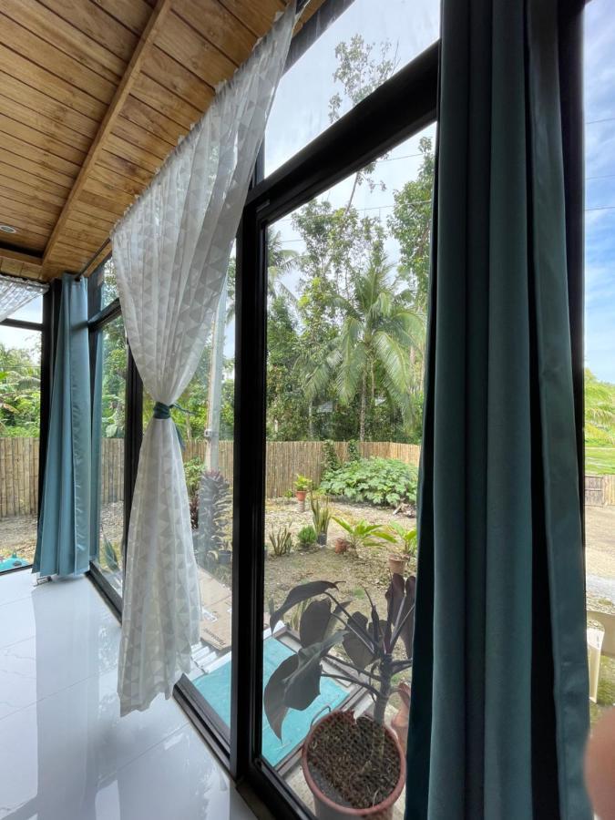 Carmen  Casa Aguelo Chocolate Hills Bed & Breakfast エクステリア 写真