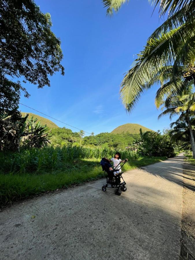 Carmen  Casa Aguelo Chocolate Hills Bed & Breakfast エクステリア 写真