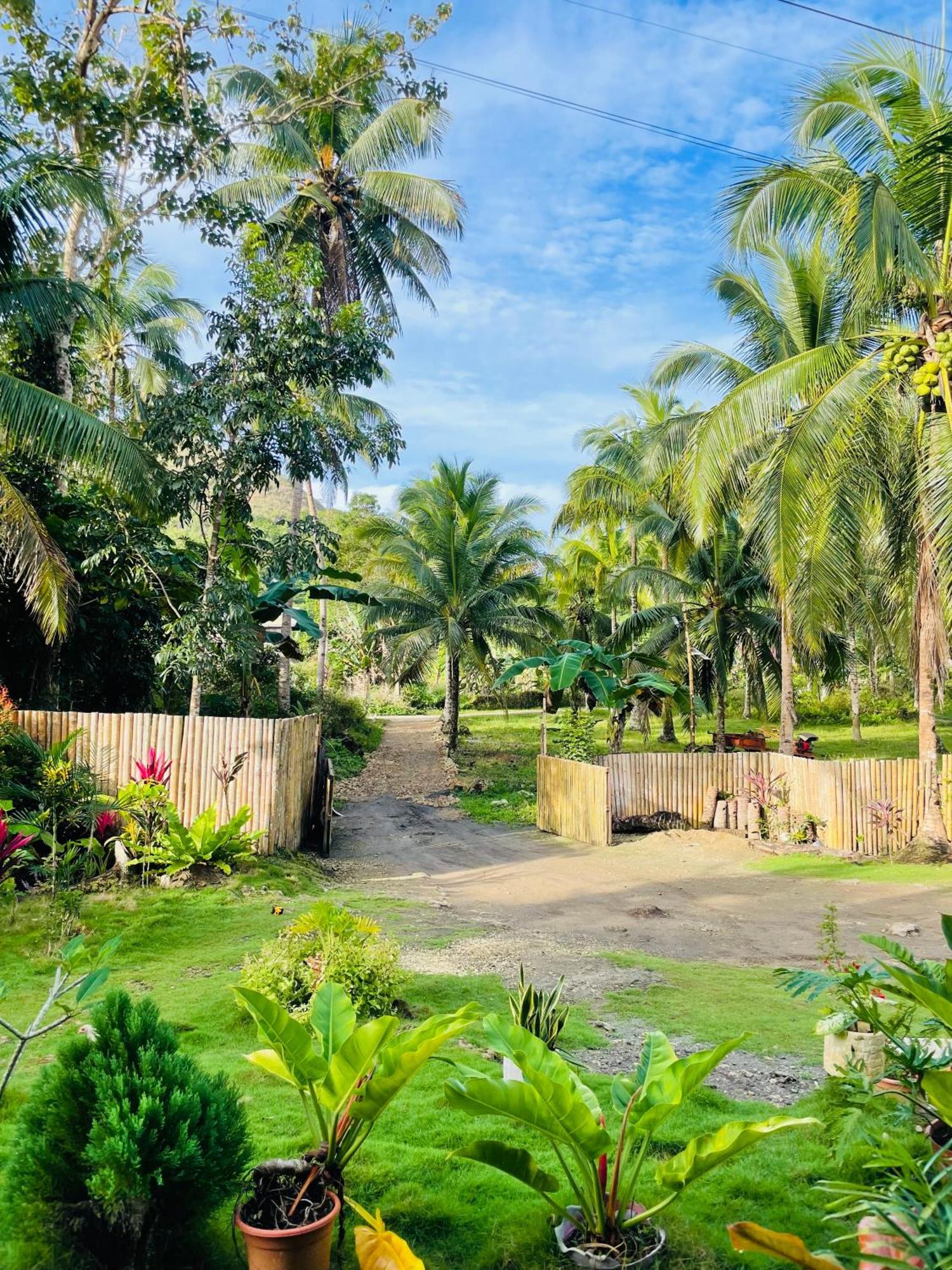 Carmen  Casa Aguelo Chocolate Hills Bed & Breakfast エクステリア 写真